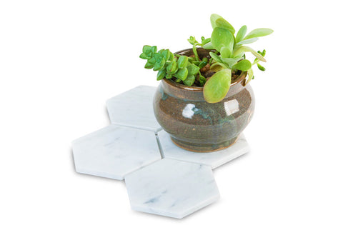 Hexagon Coasters in White Carrara Marble